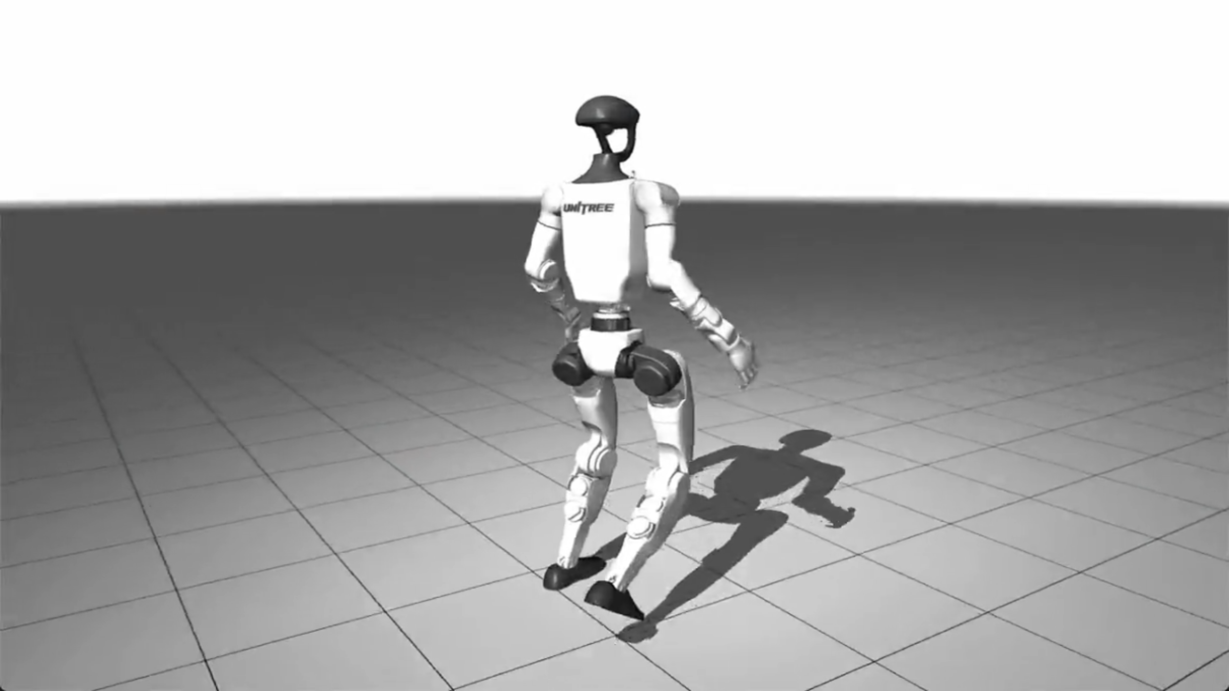 Locomotion task.